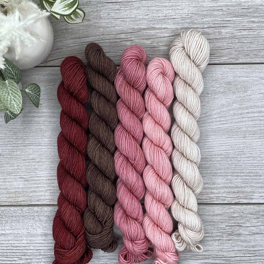 A Friend With Chocolate | MINI skeins set of 5 | SHEEPISHsock | fingering weight