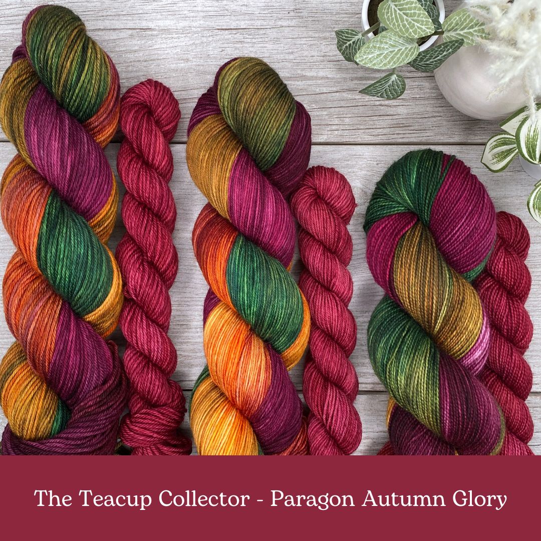 Paragon Autumn Glory SOCK SET  |  Vintage Teacup Collector Series  |  Choose Fingering or DK weight