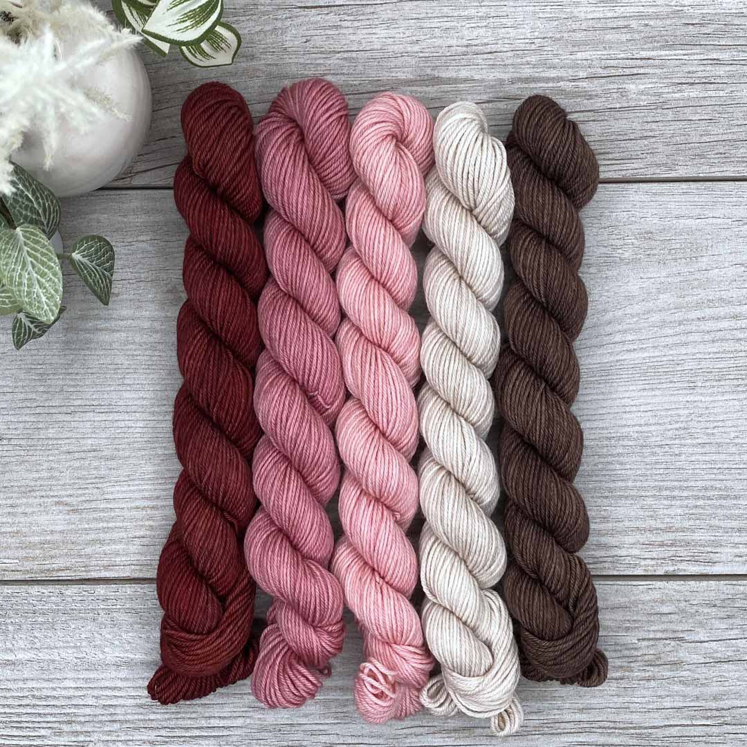 A Friend With Chocolate  |  MINI skeins set of 5  |  SHEEPISHsock  |  fingering weight