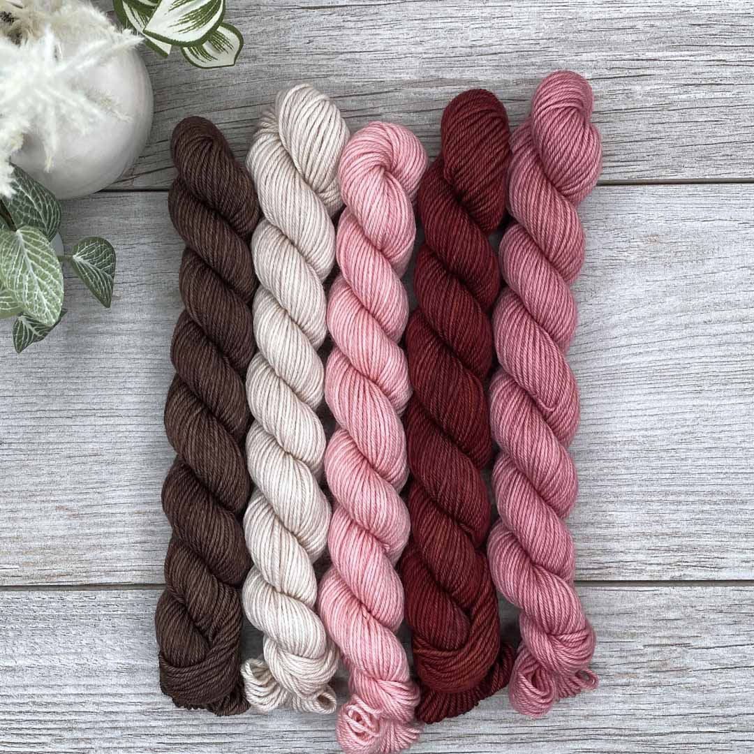 A Friend With Chocolate  |  MINI skeins set of 5  |  SHEEPISHsock  |  fingering weight