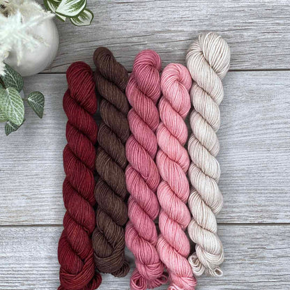 A Friend With Chocolate  |  MINI skeins set of 5  |  SHEEPISHsock  |  fingering weight