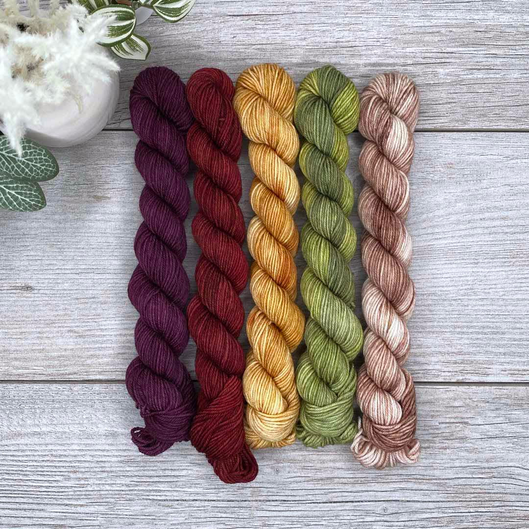 Dark Autumn -  MINI skein set of 5  |  SHEEPISHsock  |  fingering weight