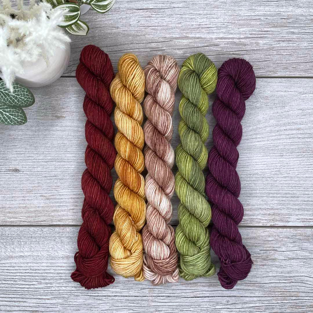 Dark Autumn -  MINI skein set of 5  |  SHEEPISHsock  |  fingering weight