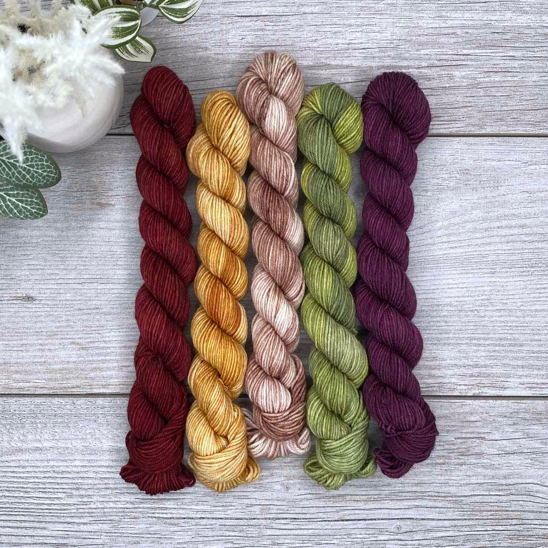 Dark Autumn -  MINI skein set of 5  |  SHEEPISHsock  |  fingering weight