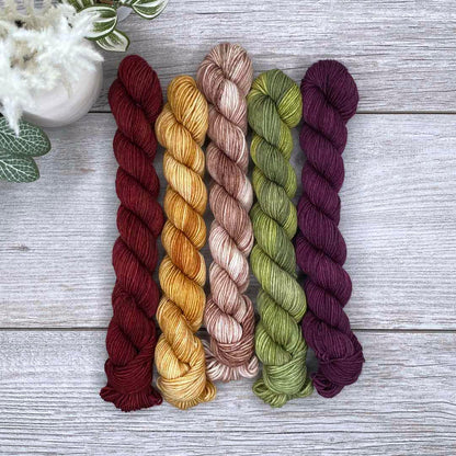 Dark Autumn -  MINI skein set of 5  |  SHEEPISHsock  |  fingering weight