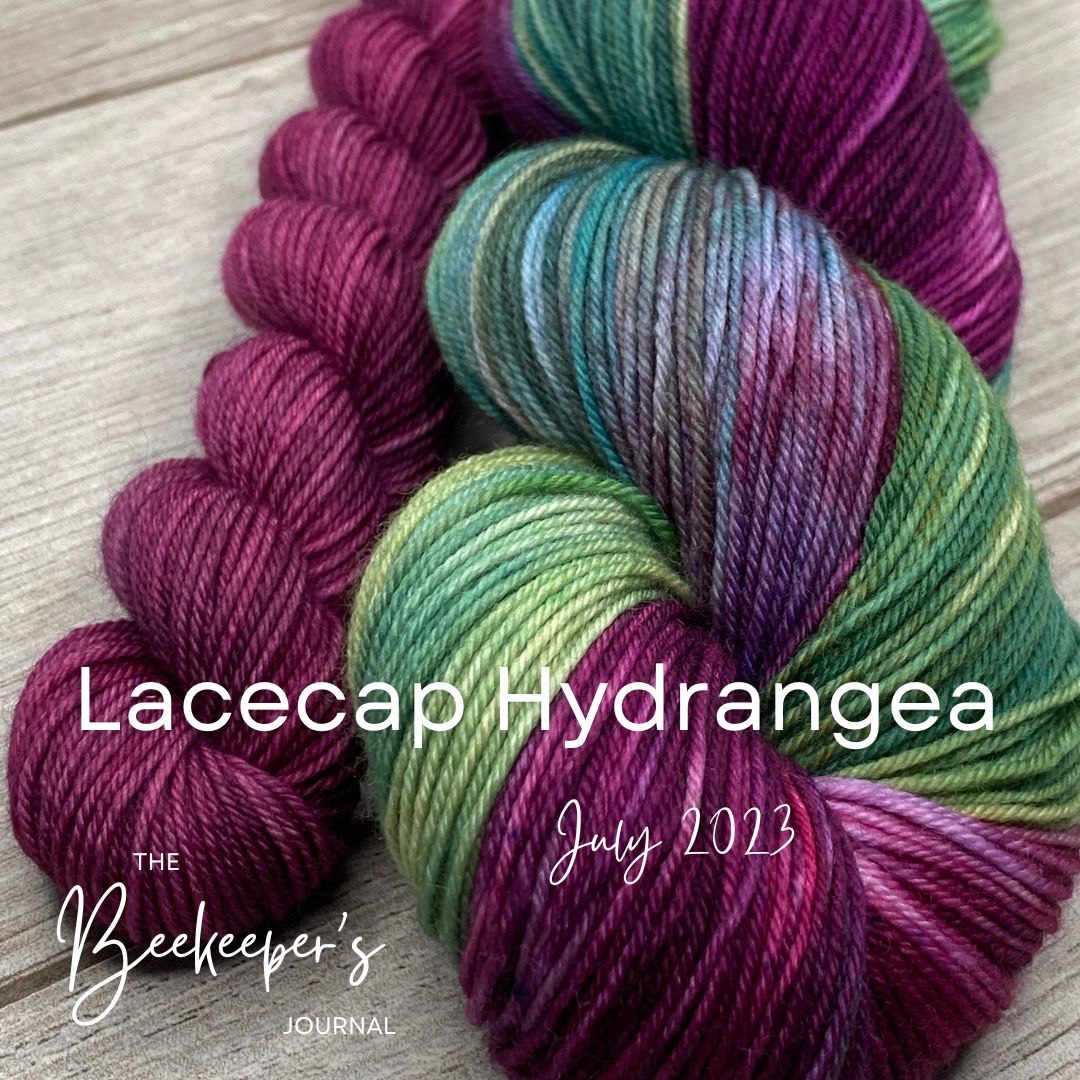 Lacecap Hydrangea SOCK SET  |  The Beekeeper&