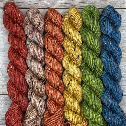 Wild Lands  |  Donegal DK  |  MINI skein set of 6